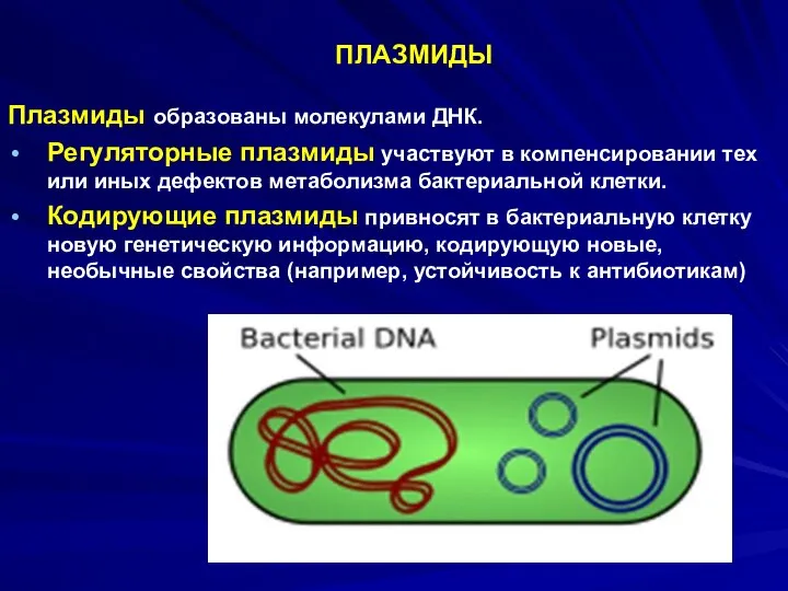 ПЛАЗМИДЫ Плазмиды образованы молекулами ДНК. Регуляторные плазмиды участвуют в компенсировании тех или