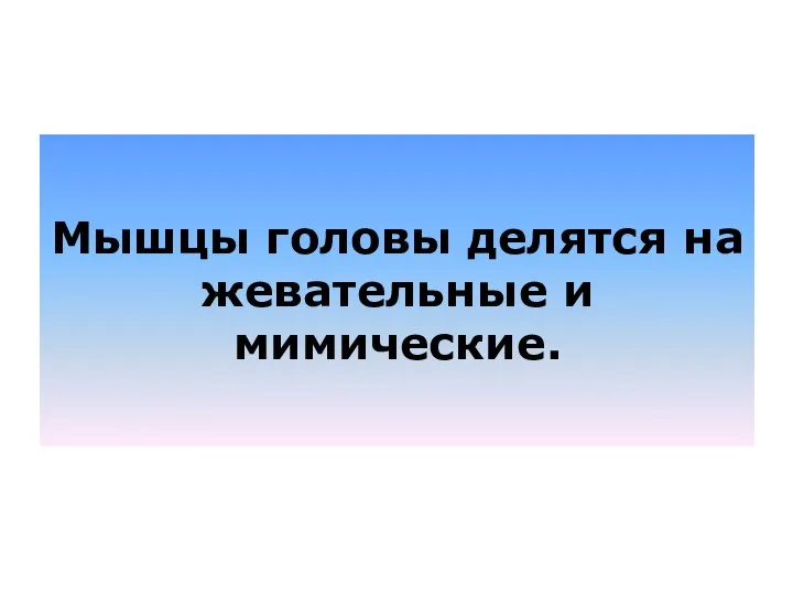 Мышцы головы делятся на жевательные и мимические.