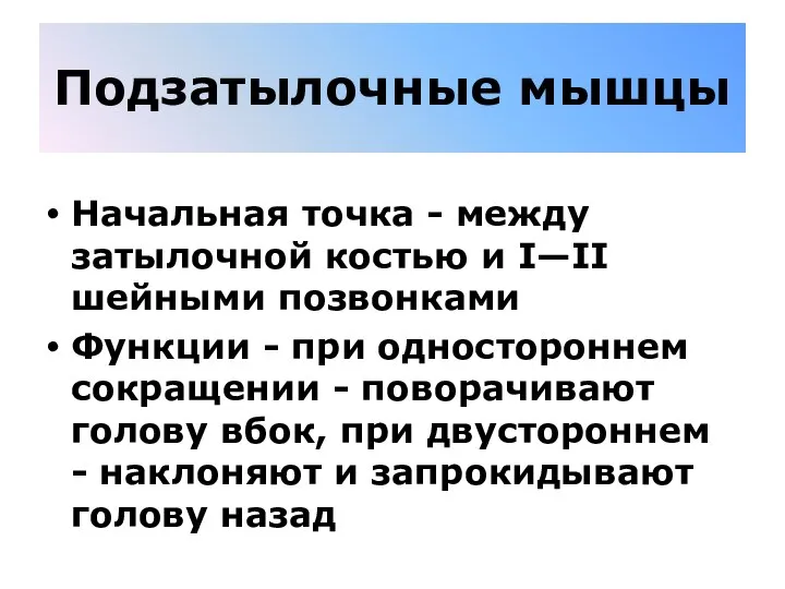 Подзатылочные мышцы Начальная точка - между затылочной костью и I—II шейными позвонками