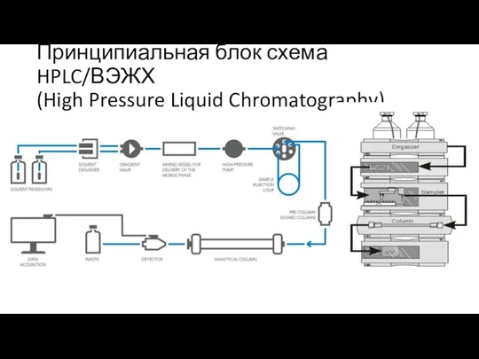 Принципиальная блок схема HPLC/ВЭЖХ (High Pressure Liquid Chromatography)