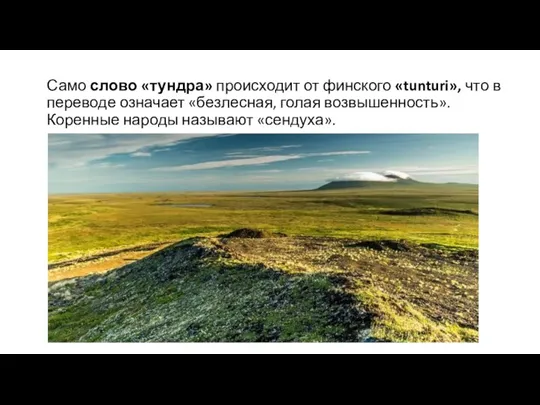 Само слово «тундра» происходит от финского «tunturi», что в переводе означает «безлесная,