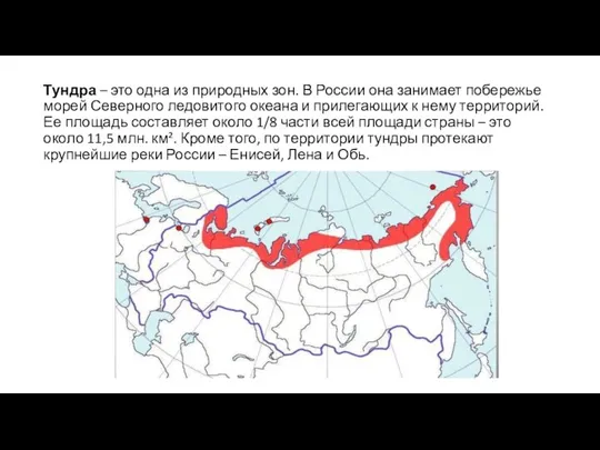 Тундра – это одна из природных зон. В России она занимает побережье