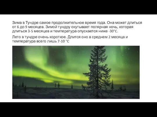 Зима в Тундре самое продолжительное время года. Она может длиться от 6