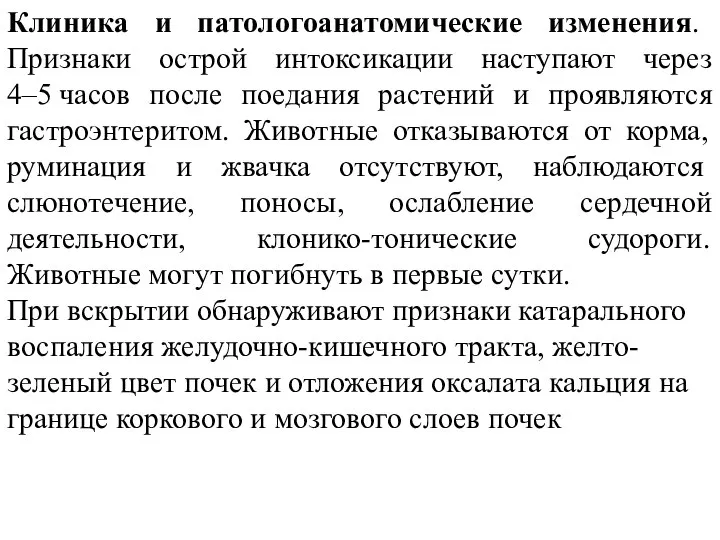 Клиника и патологоанатомические изменения. Признаки острой интоксикации наступают через 4–5 часов после