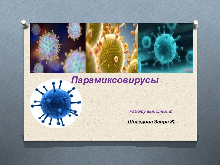 Парамиксовирусы. Виды парамиксовирусов