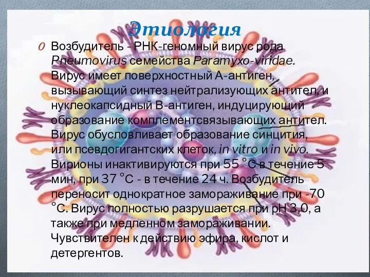 Этиология Возбудитель - РНК-геномный вирус рода Pneumovirus семейства Раrаmухо-viridae. Вирус имеет поверхностный