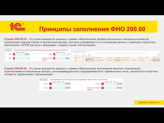 Принципы заполнения ФНО 200.00 Строка 200.00.03 – В строке выводятся данные о