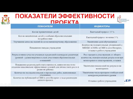 ПОКАЗАТЕЛИ ЭФФЕКТИВНОСТИ ПРОЕКТА