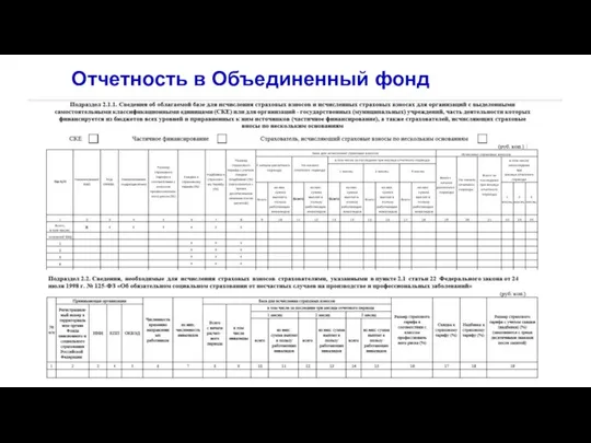 Отчетность в Объединенный фонд