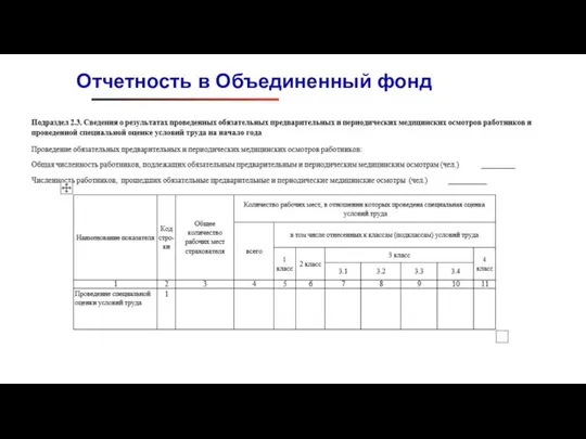 Отчетность в Объединенный фонд