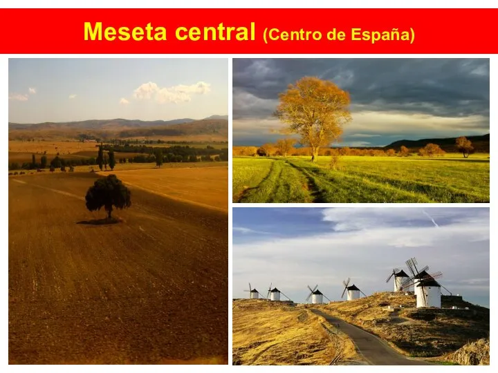 Meseta central (Centro de España)