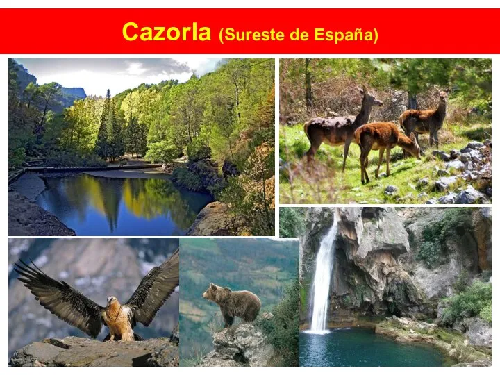 Cazorla (Sureste de España)
