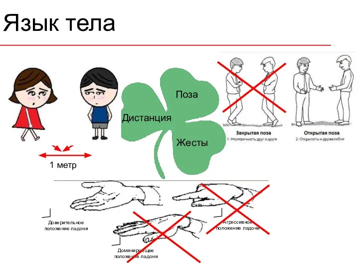 Язык тела 45 o 1 метр Доверительное положение ладони Доминирующее положение ладони