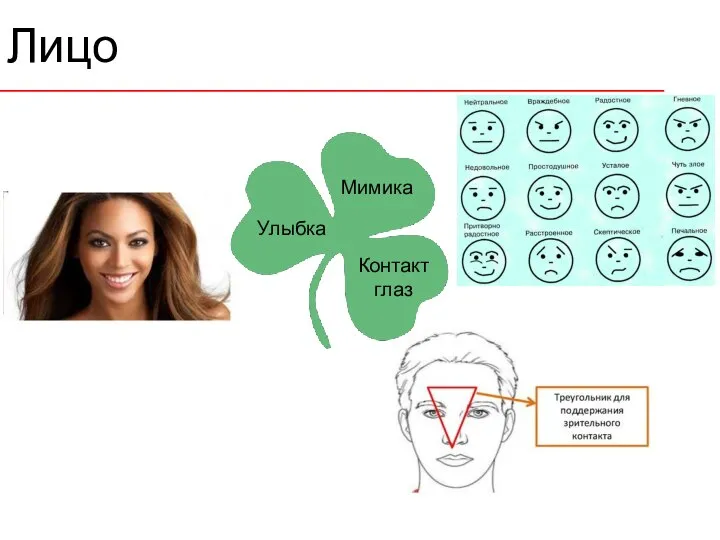 Лицо Улыбка Мимика Контакт глаз