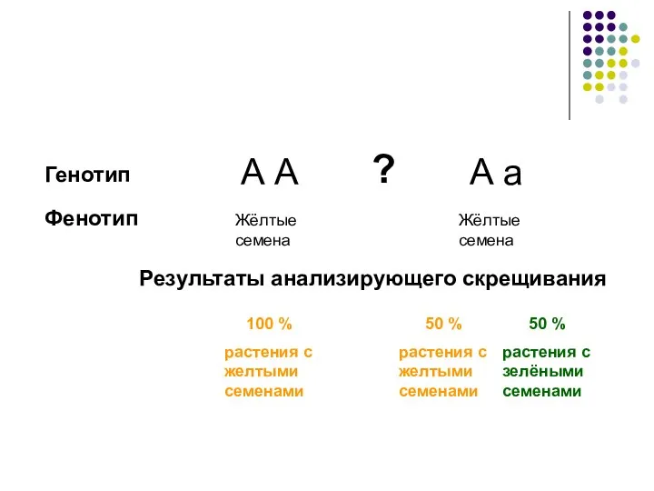 А А А а Жёлтые семена Жёлтые семена Генотип Фенотип ? Результаты