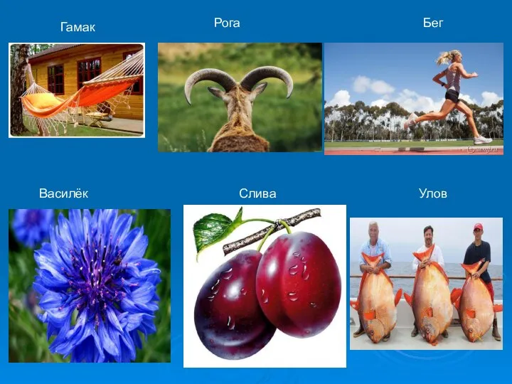 Гамак Рога Бег Василёк Слива Улов