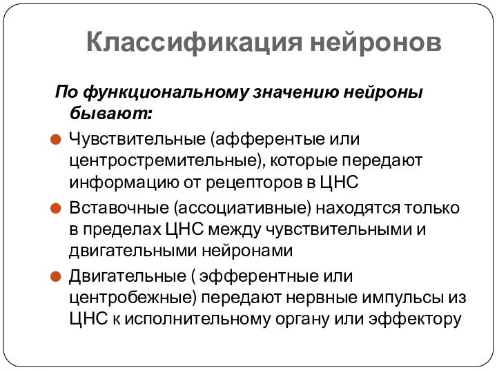 Классификация нейронов По функциональному значению нейроны бывают: Чувствительные (афферентые или центростремительные), которые