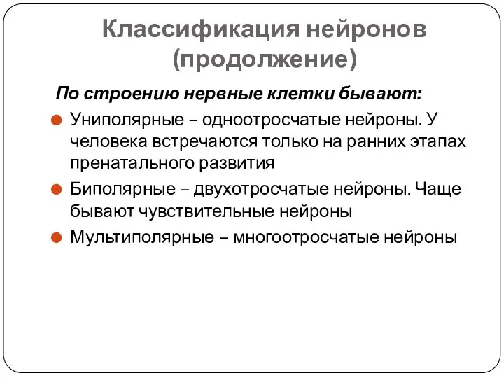 Классификация нейронов (продолжение) По строению нервные клетки бывают: Униполярные – одноотросчатые нейроны.