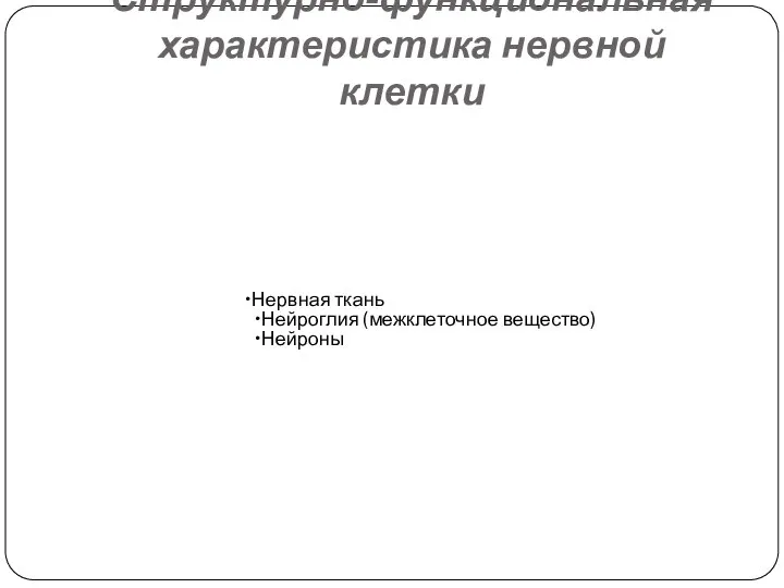 Структурно-функциональная характеристика нервной клетки Нервная ткань Нейроглия (межклеточное вещество) Нейроны