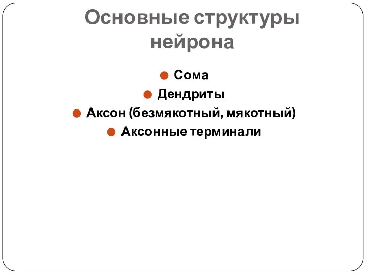 Основные структуры нейрона Сома Дендриты Аксон (безмякотный, мякотный) Аксонные терминали