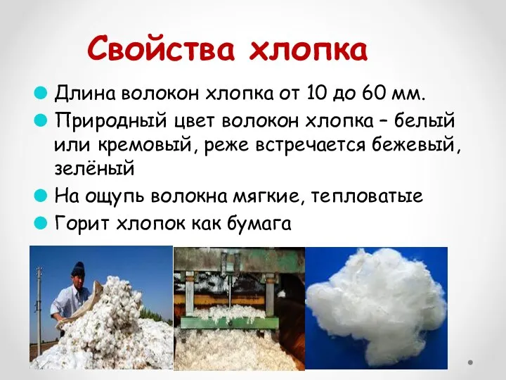 Свойства хлопка Длина волокон хлопка от 10 до 60 мм. Природный цвет