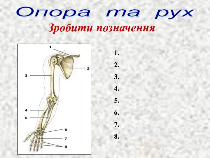 Опора та рух Зробити позначення 1. 2. 3. 4. 5. 6. 7. 8.