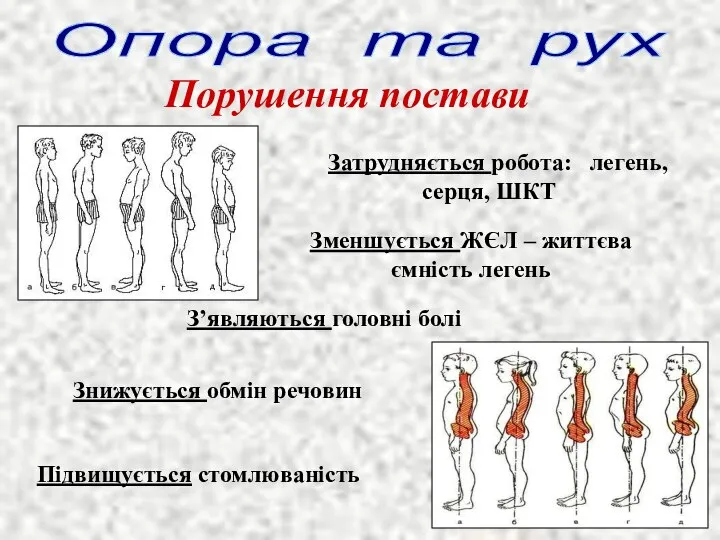 Опора та рух Знижується обмін речовин Підвищується стомлюваність З’являються головні болі Зменшується