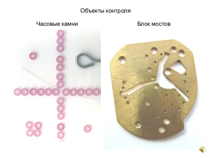 Объекты контроля Часовые камни Блок мостов