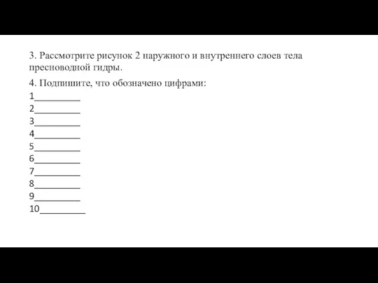 3. Рассмотрите рисунок 2 наружного и внутреннего слоев тела пресноводной гидры. 4.