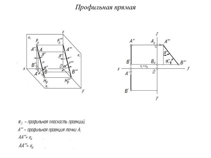 Профильная прямая