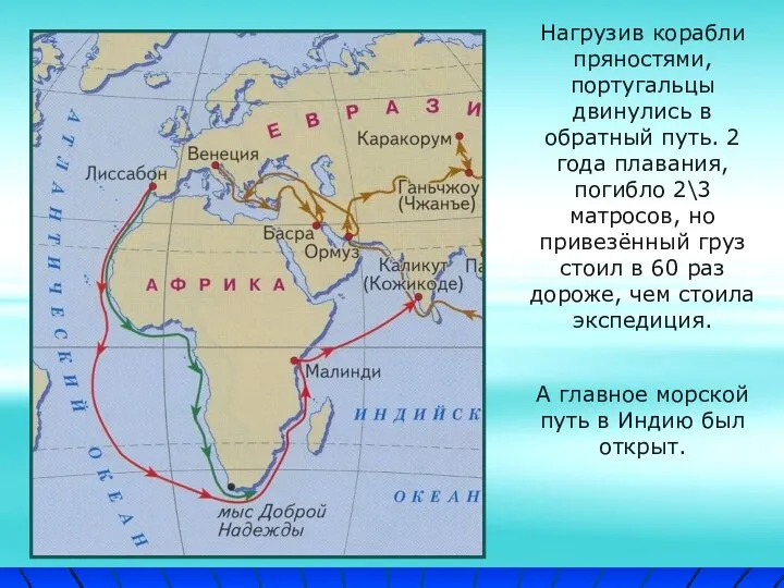 Нагрузив корабли пряностями, португальцы двинулись в обратный путь. 2 года плавания, погибло