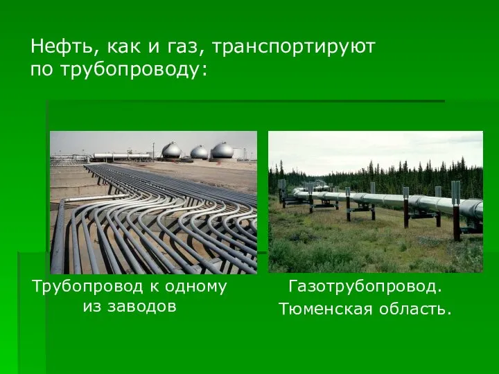 Нефть, как и газ, транспортируют по трубопроводу: Трубопровод к одному из заводов Газотрубопровод. Тюменская область.