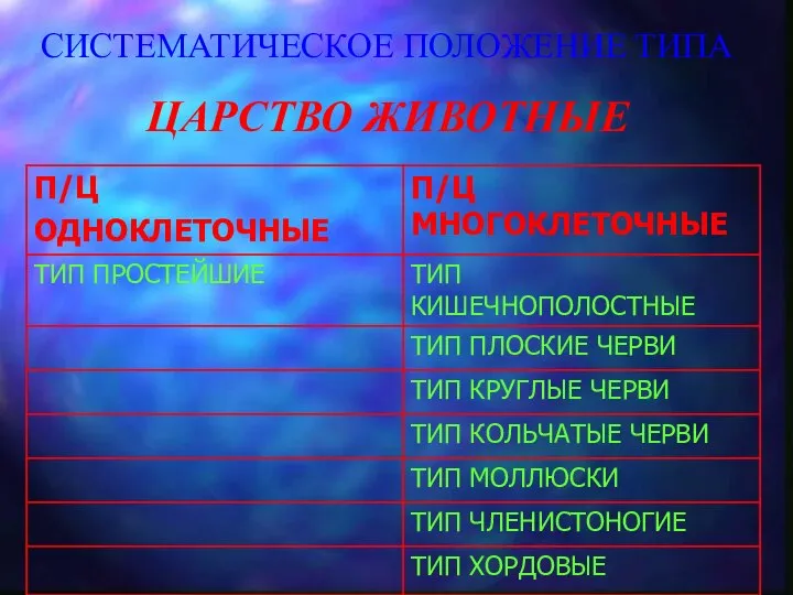 СИСТЕМАТИЧЕСКОЕ ПОЛОЖЕНИЕ ТИПА ЦАРСТВО ЖИВОТНЫЕ