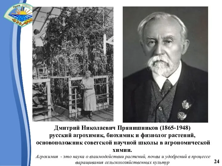 24 Дмитрий Николаевич Прянишников (1865-1948) русский агрохимик, биохимик и физиолог растений, основоположник