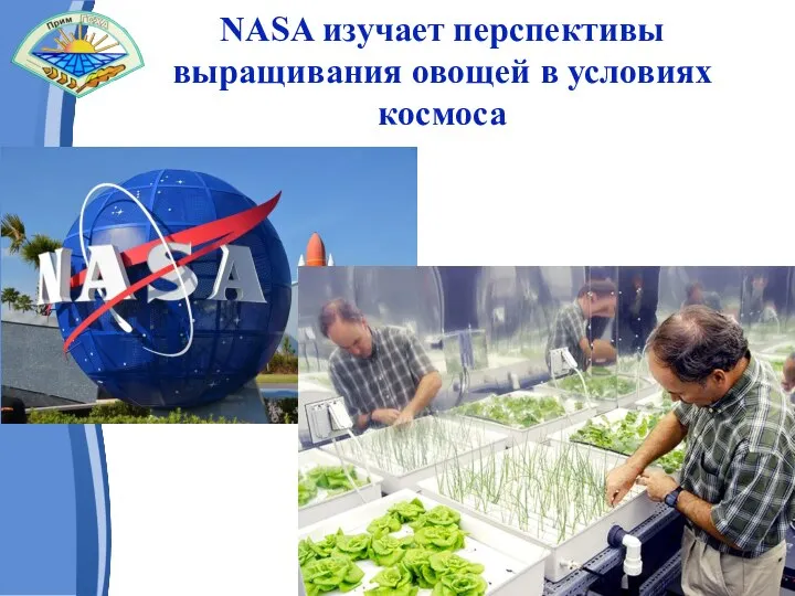 NASA изучает перспективы выращивания овощей в условиях космоса Слайд 3