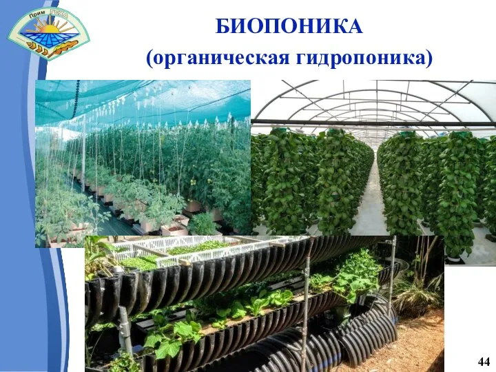 БИОПОНИКА (органическая гидропоника) 44