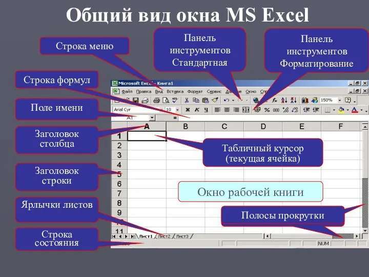 Общий вид окна MS Excel Строка меню Строка формул Заголовок строки Ярлычки