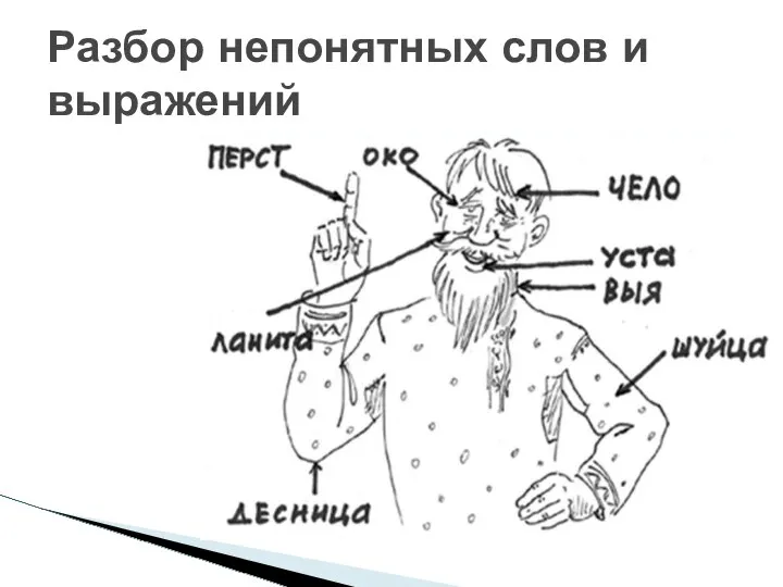 Разбор непонятных слов и выражений