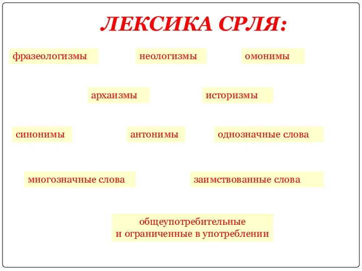 ЛЕКСИКА СРЛЯ: фразеологизмы неологизмы омонимы архаизмы историзмы синонимы антонимы однозначные слова многозначные