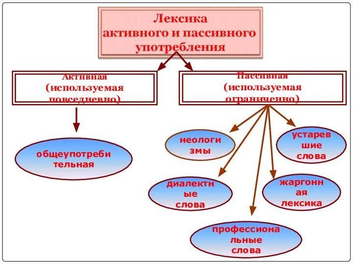 общеупотребительная неологизмы диалектные слова профессиональные слова устаревшие слова жаргонная лексика