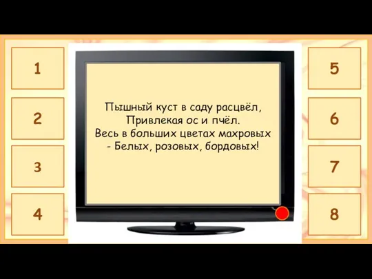 ПИОН Пышный куст в саду расцвёл, Привлекая ос и пчёл. Весь в