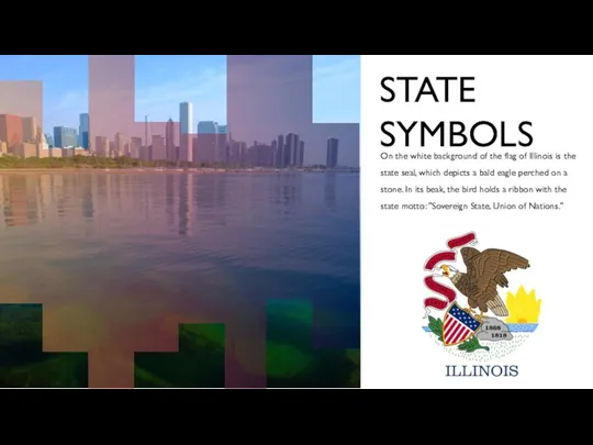 STATE SYMBOLS On the white background of the flag of Illinois is
