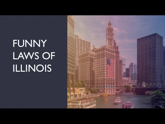 FUNNY LAWS OF ILLINOIS