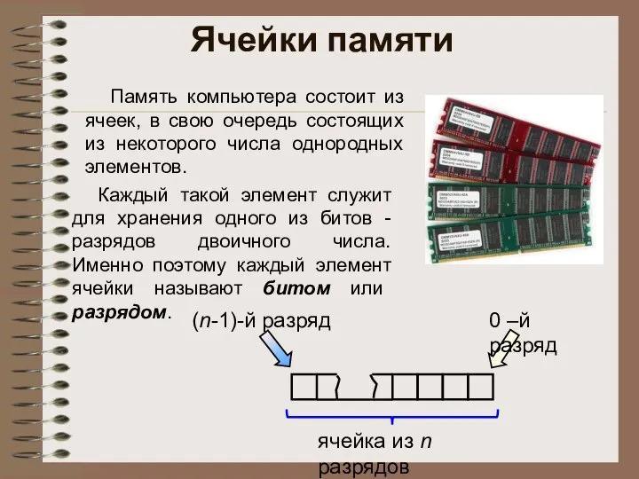 Ячейки памяти Память компьютера состоит из ячеек, в свою очередь состоящих из