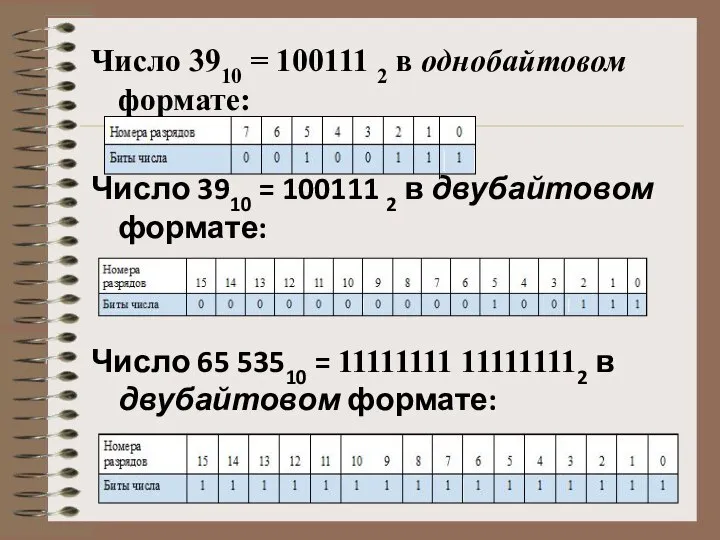 Число 3910 = 100111 2 в однобайтовом формате: Число 3910 = 100111