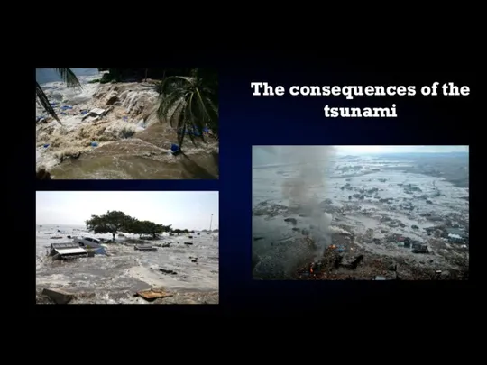The consequences of the tsunami