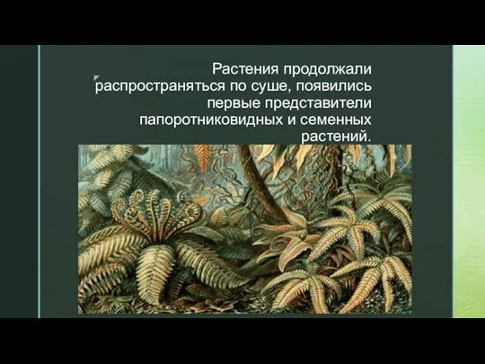 Растения продолжали распространяться по суше, появились первые представители папоротниковидных и семенных растений.