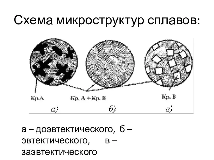 Схема микроструктур сплавов: а – доэвтектического, б – эвтектического, в – заэвтектического