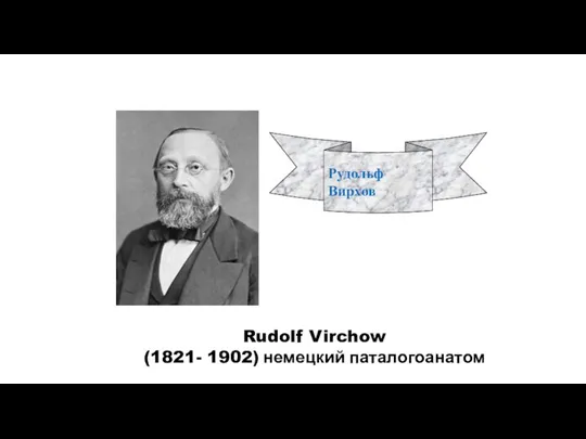 Rudolf Virchow (1821- 1902) немецкий паталогоанатом Рудольф Вирхов