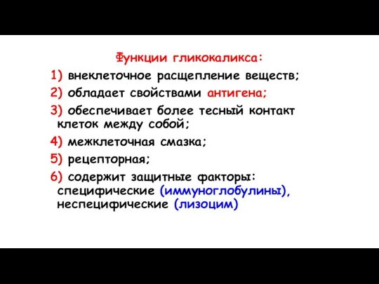 Функции гликокаликса: 1) внеклеточное расщепление веществ; 2) обладает свойствами антигена; 3) обеспечивает